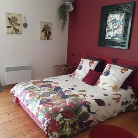 Domaine De La Piale 4* Фон