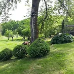 Domaine De La Piale B&B Fons (Lot)