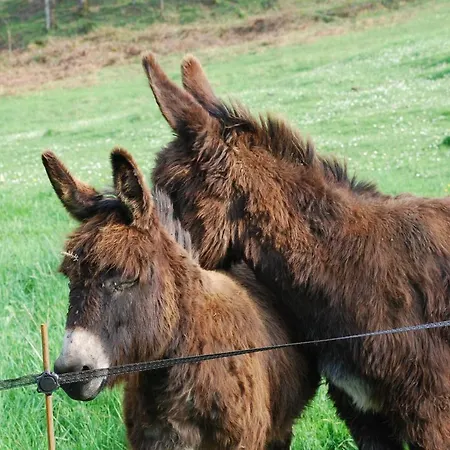 Domaine De La Piale Fons (Lot)