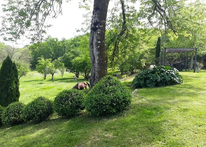 Domaine De La Piale Nocleg ze śniadaniem Fons (Lot)